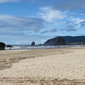 Meet your Posher, Savannah